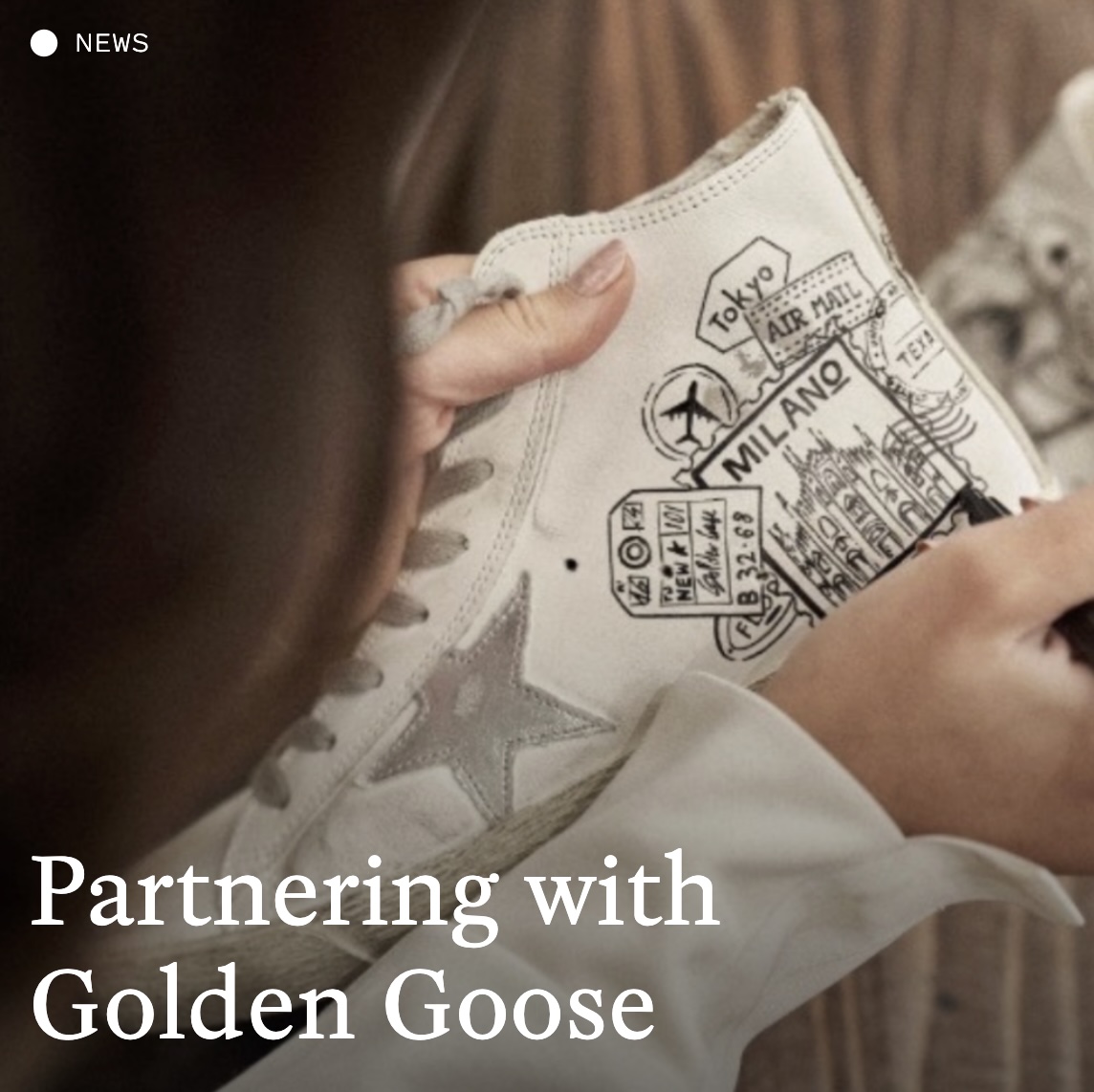 Golden-Goose-2